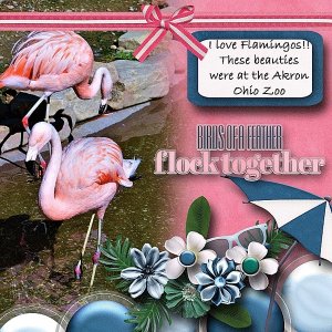 Think Pink