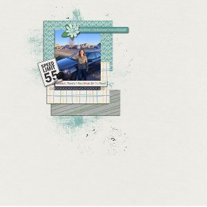 Newest-Driver-web