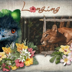 Longing