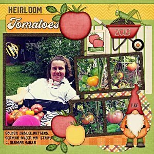 Heirloom tomatoes