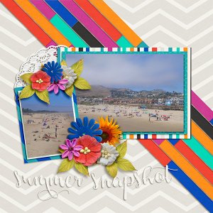 Summer Snapshot