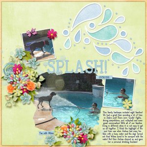 Fun at the Pool