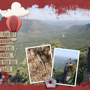 Viewpoint 2