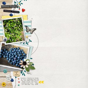 Reender's Blueberry Farm | August 2018