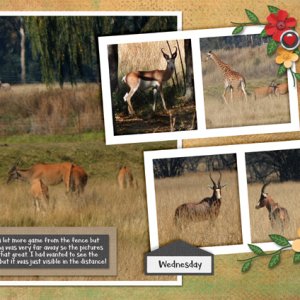 Wildlife