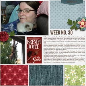 2019 Day2Day Week 30