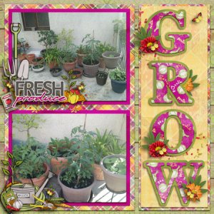 tcot-grwsesn-ahd-greenthumbsm