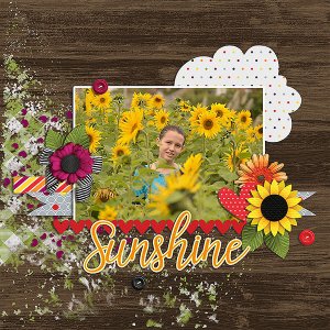 sunshine