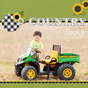 Country Living 1