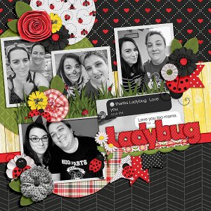 Ladybug