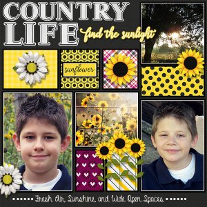 Country Life