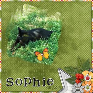Sophie