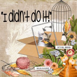 I Didn't Do It!