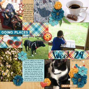 Week 29, 2019