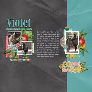 Violet