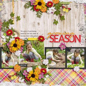 growing season