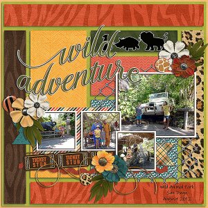 wild adventure