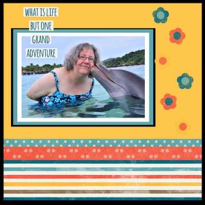 Dolphin Encounter