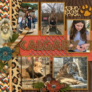 Zoo Day