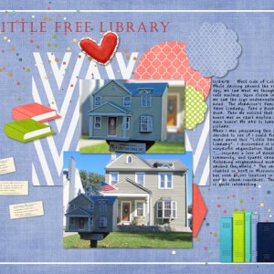 Little Free Library