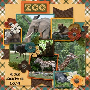 NC Zoo