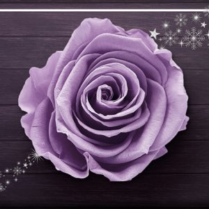 ATC 2019-093 Purple