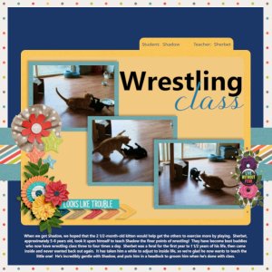 Shadow's Wrestling Class