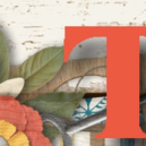 2019_AUGUST_Signature_Challenge