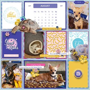August Pets