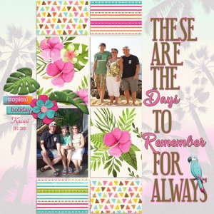 DAYS TO REMEMBER