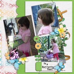 Butterfly Hunt