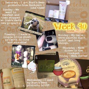 Week 40/52 {2011}