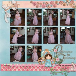 Princess in Training1