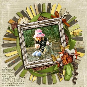 SnS-MushroomHunting