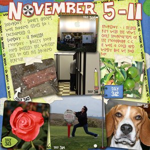Lisa's Week Forty-Five