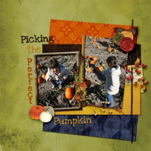 Picking the perfect pumpkin