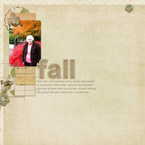216-11-11-FallByCFALBRO