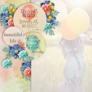 Beautiful Life