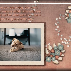 Living With a Dog