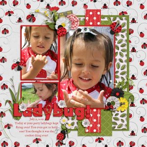 Ladybug
