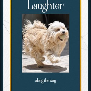 ATC 2019-096 Laughter