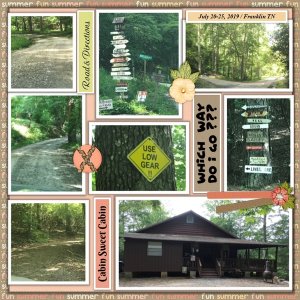 August 2019 Snickerdoodle Designs Pocket Scrapping Challenge