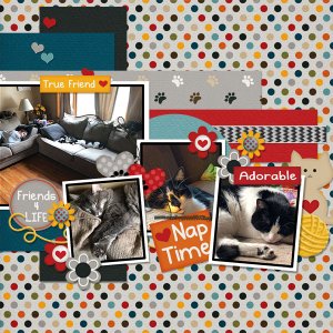 August 2019 Inspiration Challenge