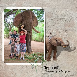 Elephant Sanctuary Hazyview LHS