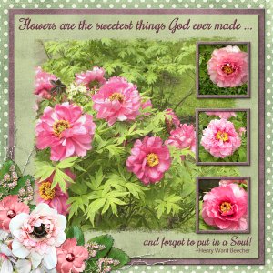 Flowers are the sweetest thing God ever made ...