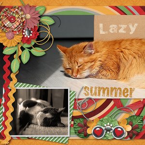 Lazy Summer