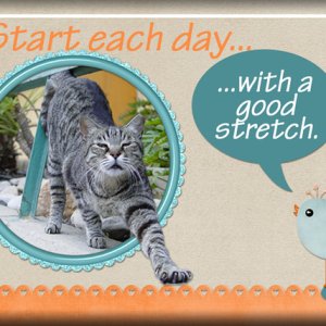 ATC 2019-098 Start Each Day