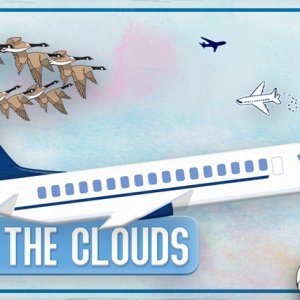 In The Clouds