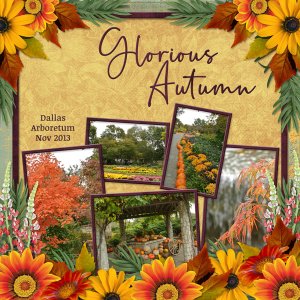 Glorious Autumn