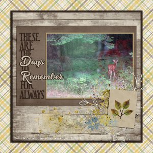 DAYS TO REMEMBER